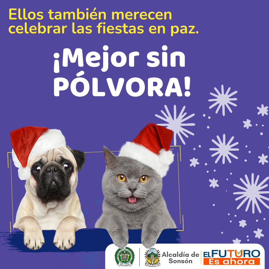 #Cumplimos ✅🧡💙 | Ellos también merecen celebrar las fiestas en paz🐶🐱
🚫#MejorSinPólvora🥳🎄🧡💙