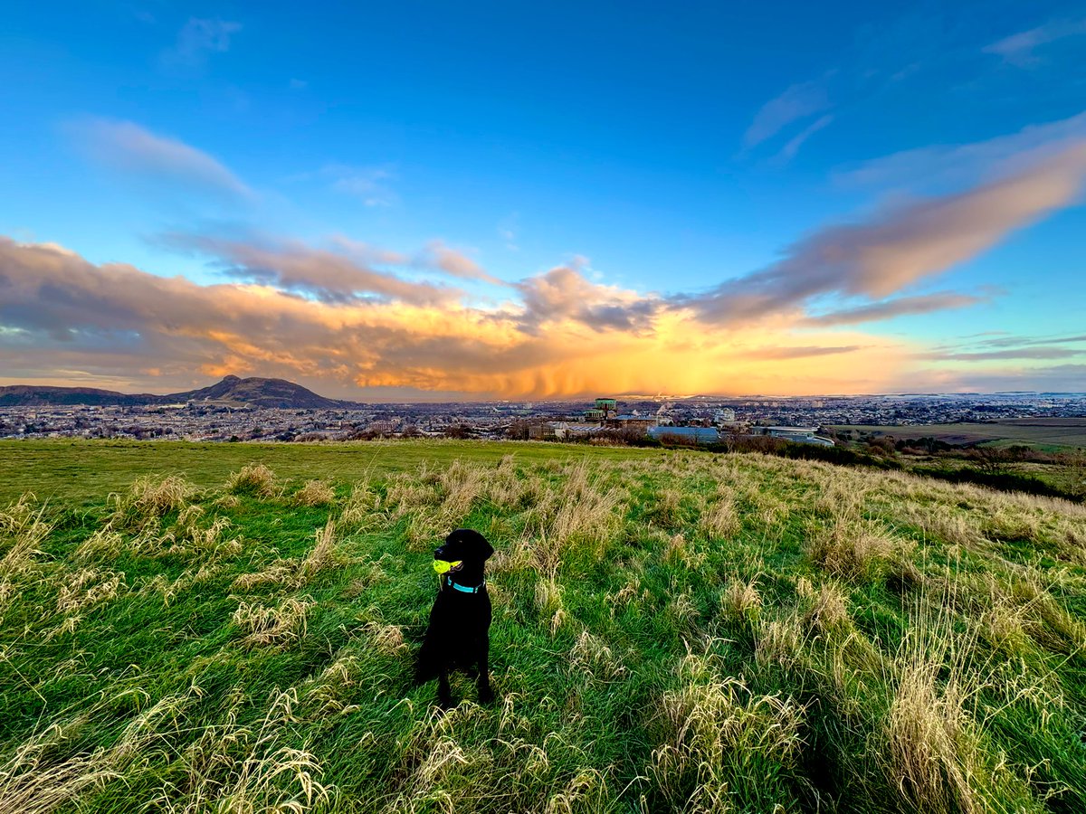 This was Edinburgh this afternoon.  Scotland is magnificent!!!  Happy St Andrews Day 🏴󠁧󠁢󠁳󠁣󠁴󠁿 <a href="/VisitScotland/">VisitScotland</a> #StAndrewsDay #scotland #dog