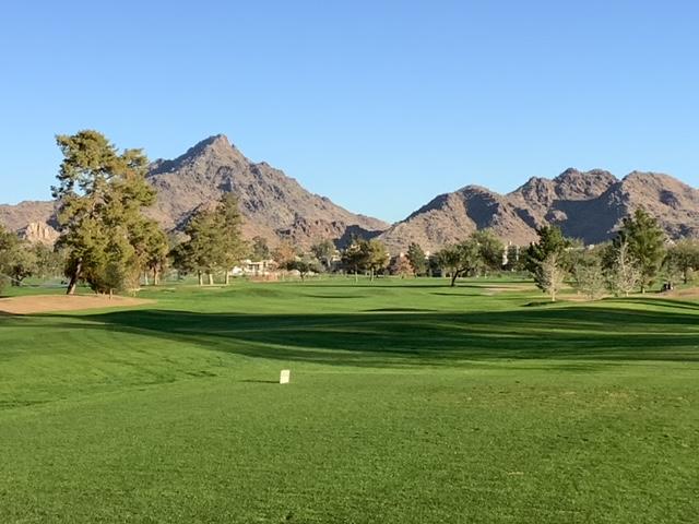 PTI_Golf_Const's tweet photo. The Proof is in the Progress…

The results are in from the crew’s hard work on the beautiful Adobe Biltmore in Phoenix, AZ.
⛳️ 

🏜️

⛳️ 

🏜️

⛳️ 

🏜️

#construction #golf #phoenix #arizona #pga #golfconstruction #badbirdie #taylormadegolf https://t.co/NrzLdB4nnj