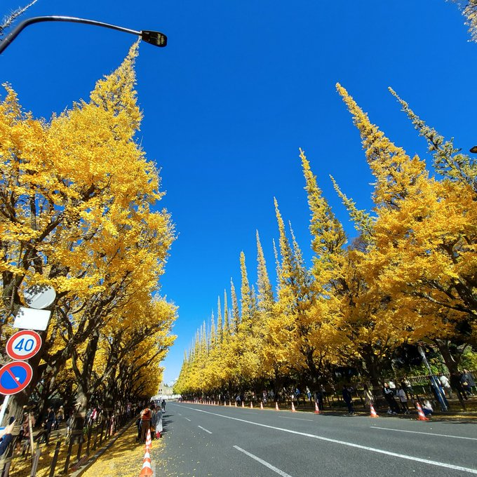 ajik33069673's tweet photo. おはようございます。
12月、今年も残すところあとひと月に…。
#GoodMorningX https://t.co/wYdVQNLPZ9