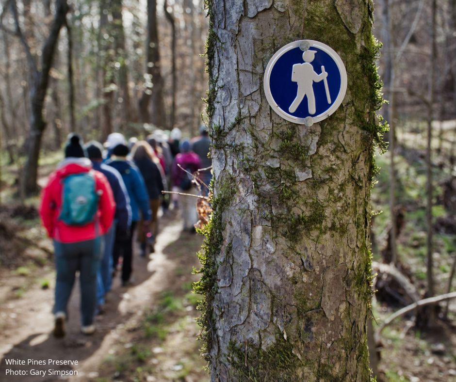 Triangle Land Conservancy (@triangleland) on Twitter photo Need weekend plans? This Saturday's Pines of the Piedmont hike still has spots available! π²π₯Ύ
December 2, 9 - 11 AM
Register at buff.ly/3SXzv0t 
#trianglelandconservancy #hiketlc #yearofthetrail #trianglenc #chathamcounty #chapelhillnc #durhamnc #raleighnc Need weekend plans? This Saturday's Pines of the Piedmont hike still has spots available! π²π₯Ύ
December 2, 9 - 11 AM
Register at buff.ly/3SXzv0t 
#trianglelandconservancy #hiketlc #yearofthetrail #trianglenc #chathamcounty #chapelhillnc #durhamnc #raleighnc