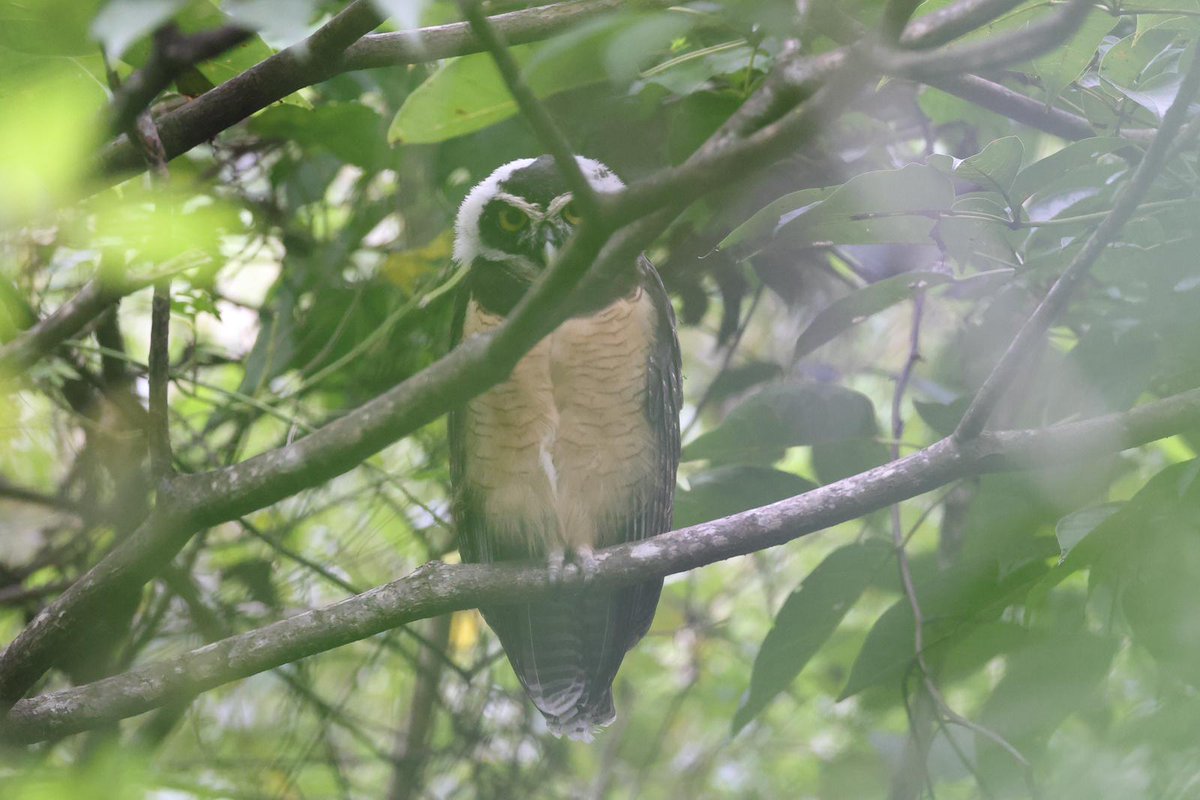 Neil Glenn tweet media