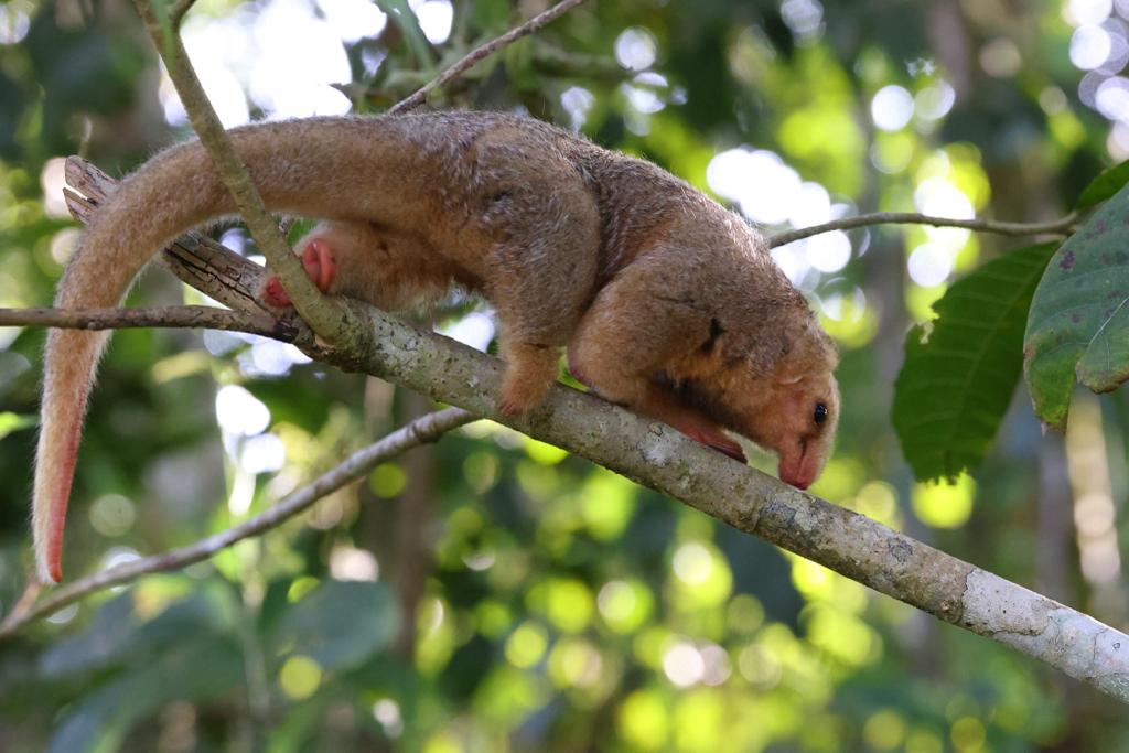 Neil Glenn tweet media