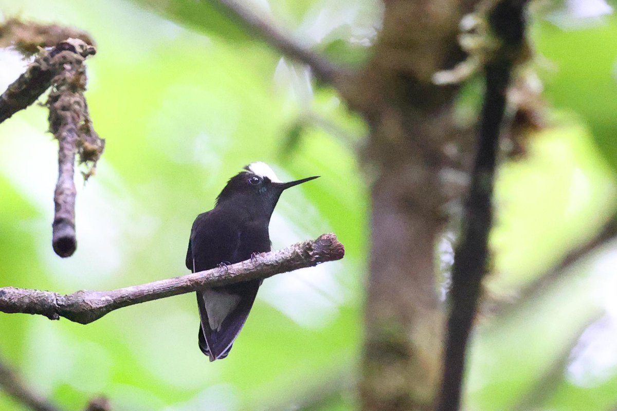 Neil Glenn tweet media