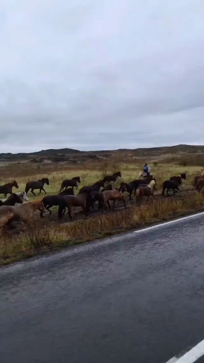 Walking away as soon as you want is the most beautiful luxury and the most brilliant freedom in life.