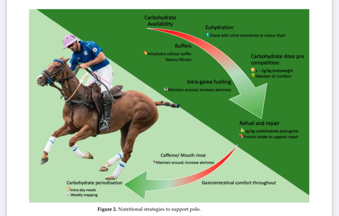 Great to have our latest paper out in <a href="/Nutrients_MDPI/">Nutrients MDPI</a> today. 

It provides an overdue review of #equestrian physiology, and nutritional recommendations. We cover a lot of ground, keeping it athlete focussed.

Pleasure to work with a great team on it too!