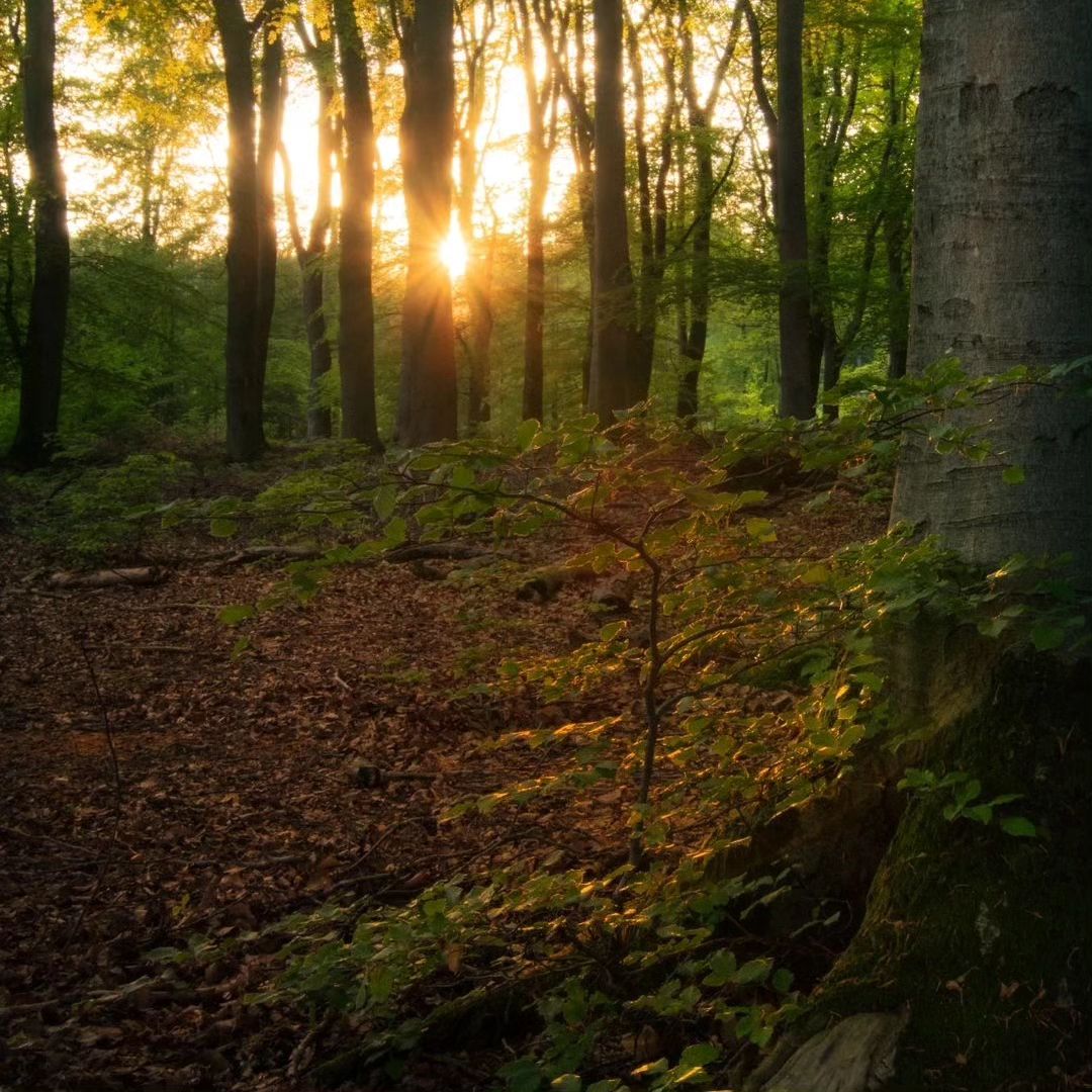 I wish to go through mountains and rivers and still feel that this world is worth it.