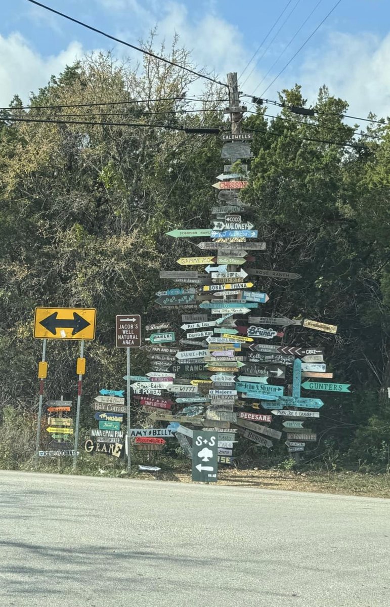 Scanachi tweet media