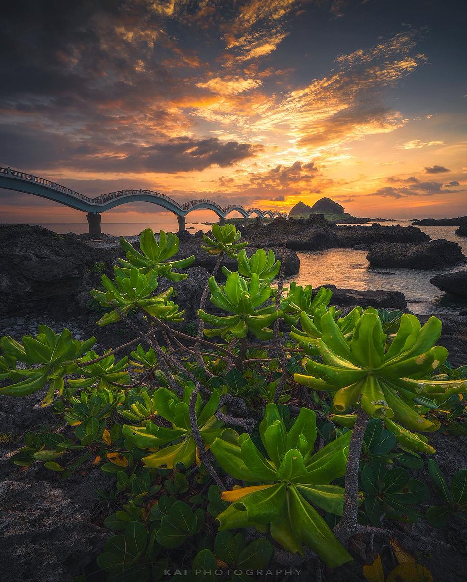 I will swallow you whole like a giant pill