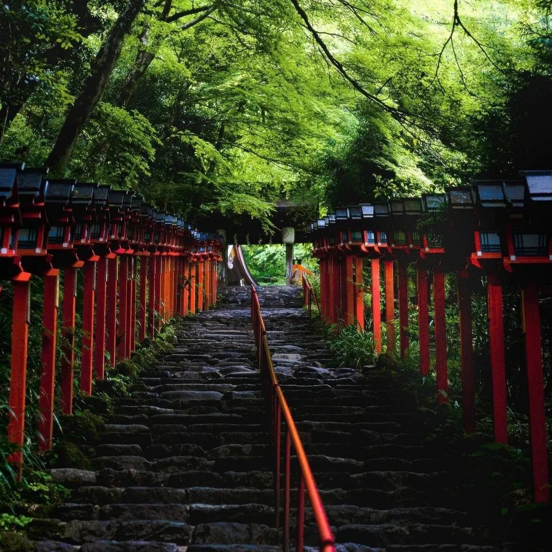 In this life, every journey is a scenery, and every thought can be calm.