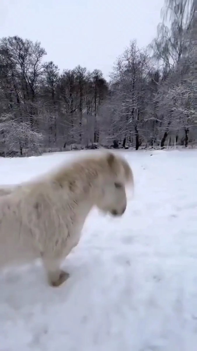 These scenery have nothing to do with anything. Even if you have nothing, they will still bloom for you.