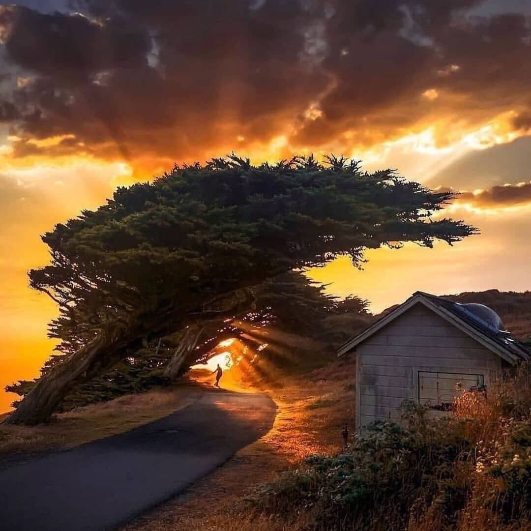 The distance is far away and the steps don’t stop.