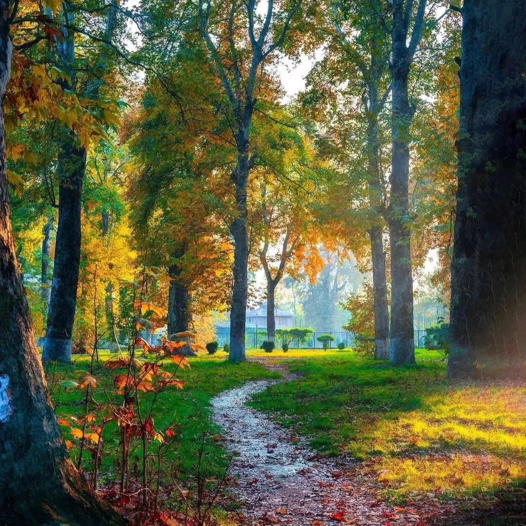 giteeth84388's tweet image. You come to me in a dusty way, which is better than all distant tenderness