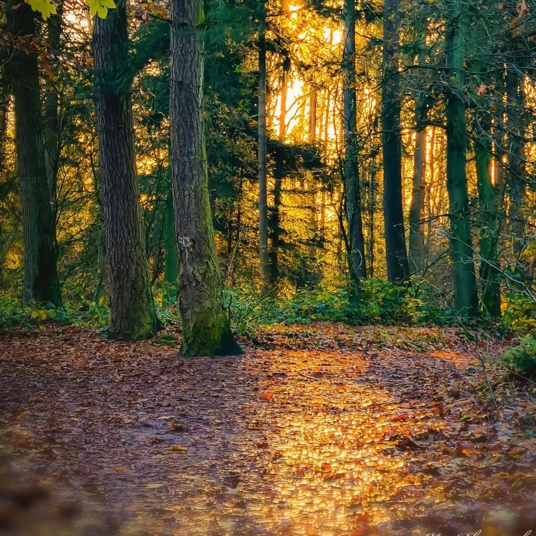 When you come to this world, you must make an effort to see all the beauty.