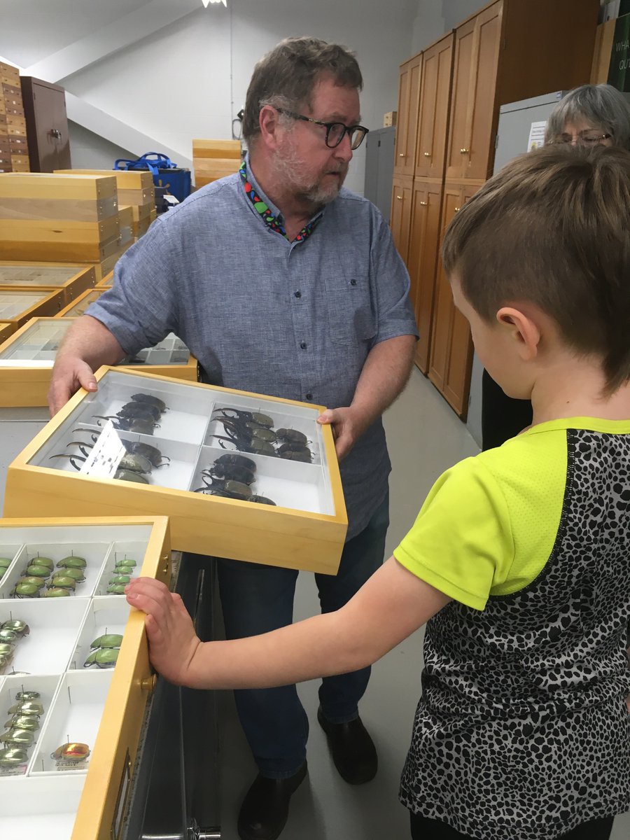buxton_rachel's tweet image. We got an incredible tour of the @MuseumofNature collections and one of the world’s leading #beetle experts pulled out a drawer of dung beetles just for my 6yo and he was like 🤯🤯🤯🤯🤯🤯🤯 

A future #entomologist was created