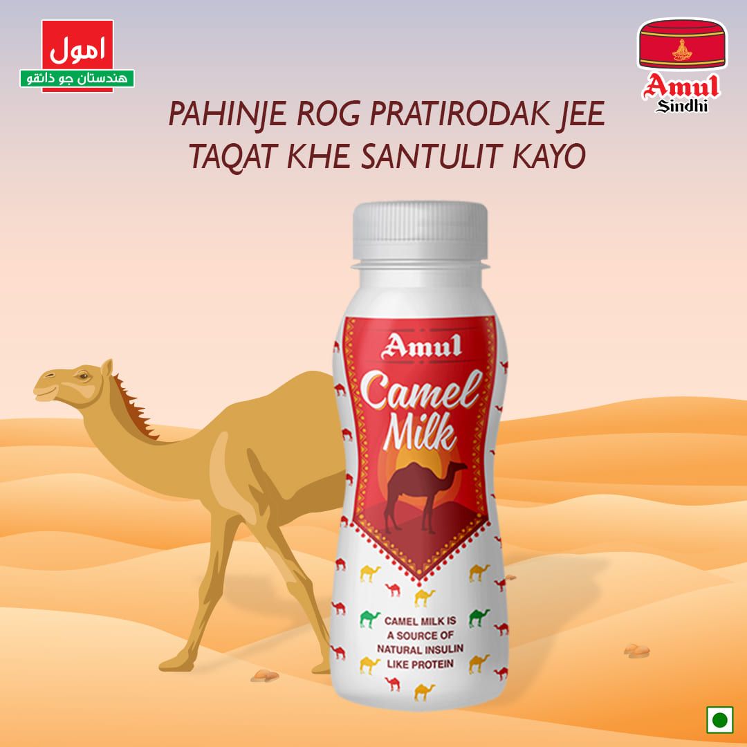 Roz hik glass, rakhe sehat jo behtar khayal 

One glass a day, manage health in a better way 

#camelmilk #healthylifestyle #amulmilk #amulsindhi #amulindia #amulinsindhi #amul #sindhi #sindhifood #sindhiculture #amulgirl