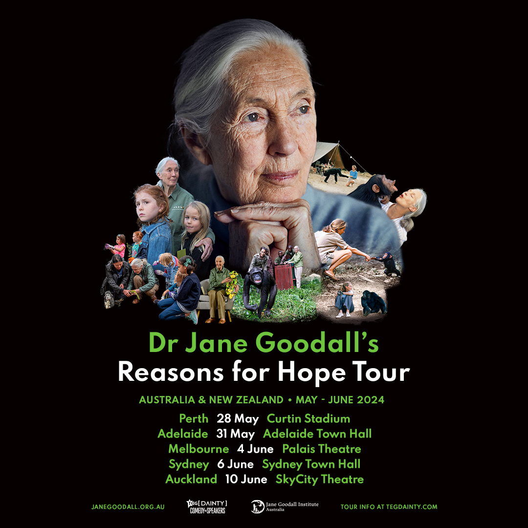 📣 JUST ANNOUNCED: World-renowned ethologist Dr. Jane Goodall returns to Australia & New Zealand in 2024 with her 'Reasons for Hope' tour. 🔗 Sign up for pre-sale and further details via bit.ly/JaneGoodall24