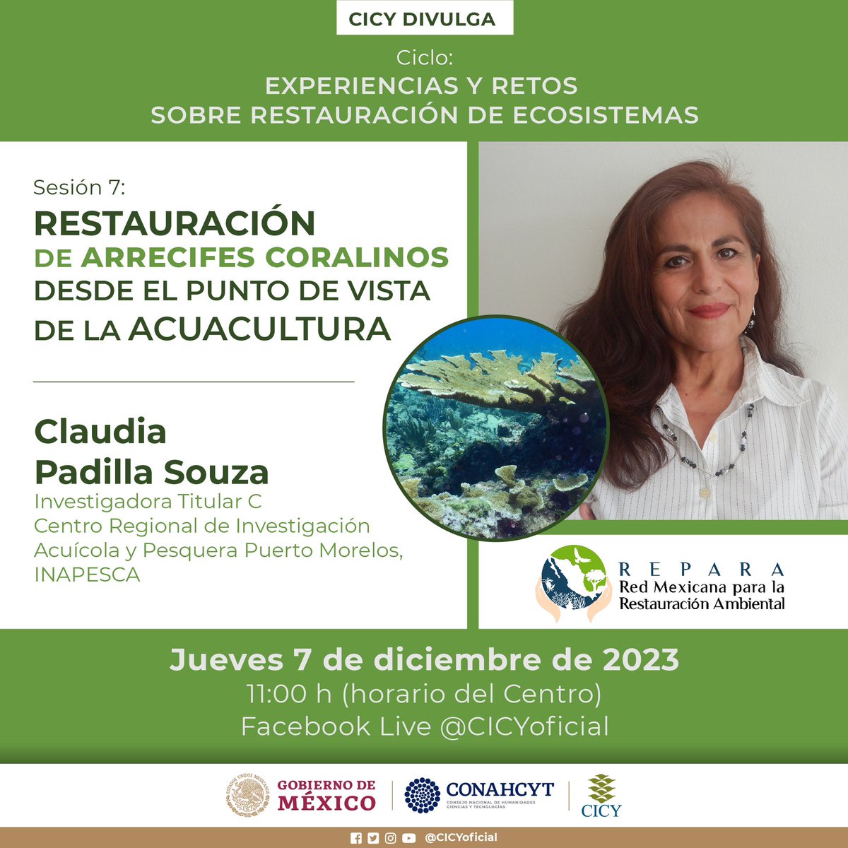La próxima semana tenemos nuestro penúltimo seminario del ciclo CICY-REPARA con la presentación de la Dra. Claudia Padilla quien nos hablará de restauración de arrecifes coralinos 🪸🆘 no se lo pierdan!
Jueves 7 de diciembre a 11:00 horario CDMX por la página de facebook del CICY