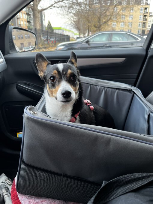 She got a car seat