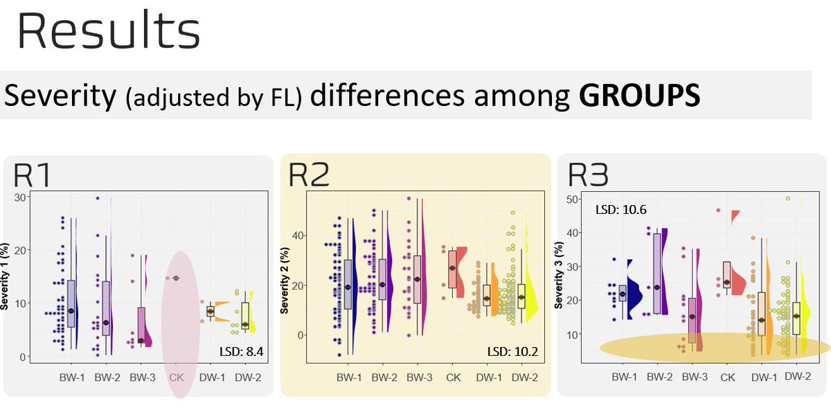 ConstanzaFleit's tweet photo. Exited to share preliminary results 📊 from BLS #Xanthomonas field disease nurseries this week with our collaborators from the @CDC_USask, @UBC, @ICDC_SK  and @AAFC_Canada Lacombe 🇨🇦working in the project "Searching for resistance to bacterial leaf streak in #wheat 🌾&amp; #barley🍺 https://t.co/Mhyv9WSG8g