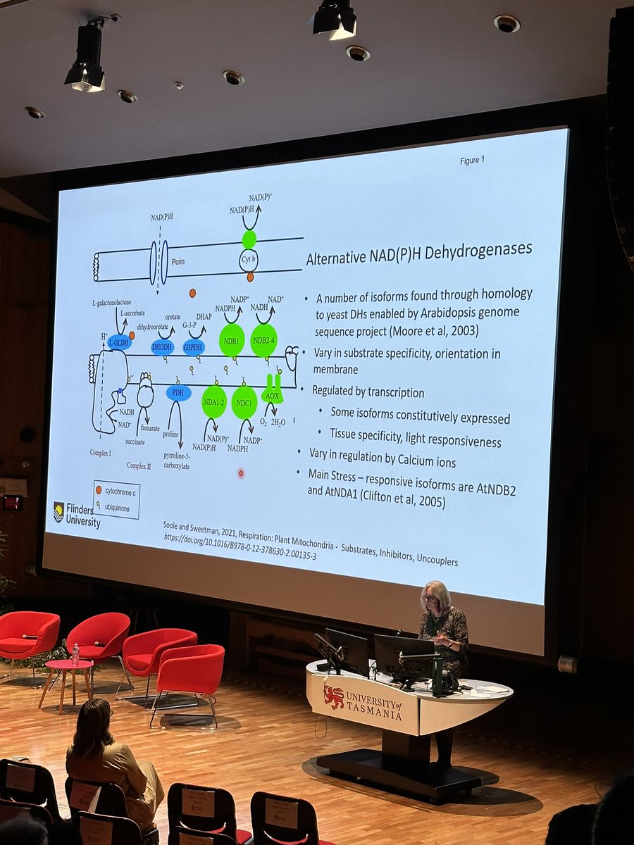 IonPlants's tweet photo. #ASPS2023 RN Robertson Lecturer @SooleKath @Flinders outlining the nexus between plant respiration and stress - also showing off @BotGardensSA Arum Lilly flowering and the role of AOX1 in the stench!!!

Congratulations on the Award Kathleen! https://t.co/mSP7dK9Fu9