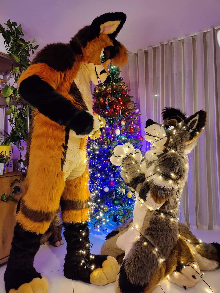 A big fox seems to have a handsome wolf all tied up in fairy lights