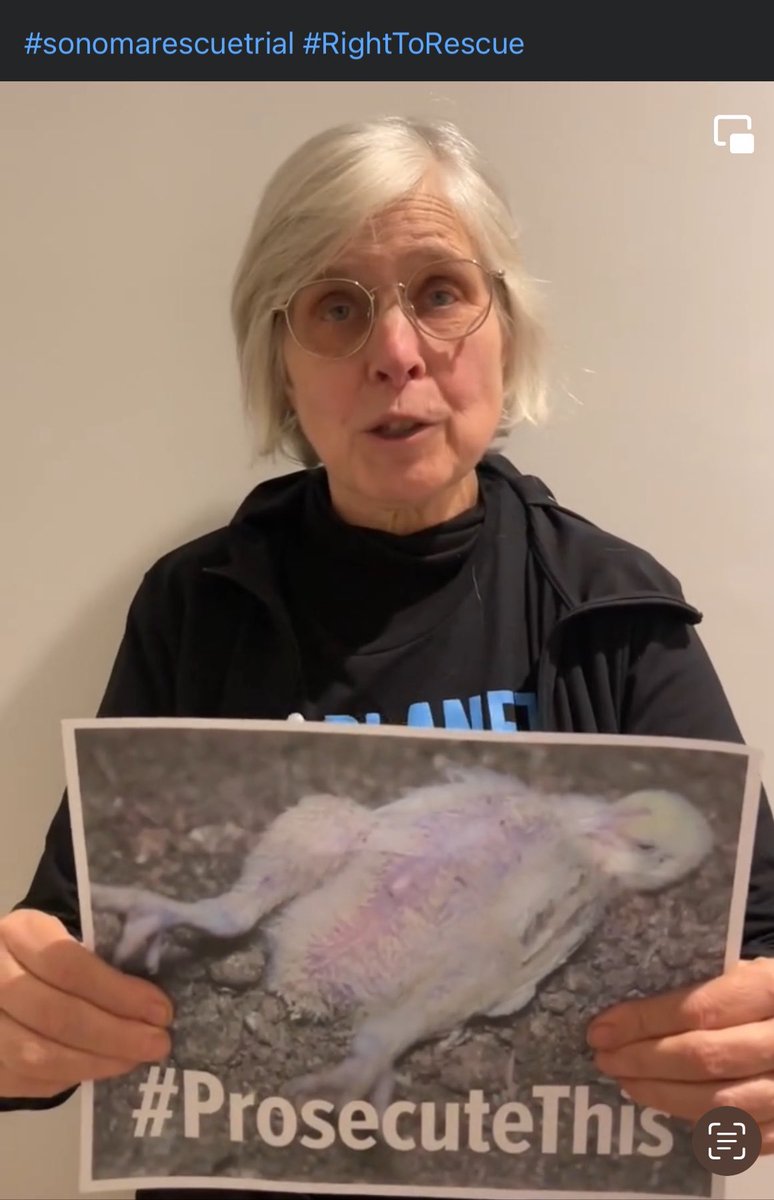 MLeeNYCx's tweet image. Hey @SonomaCounty #SonomaCountyDA how about you #ProsecuteThis⁉️‼️‼️‼️