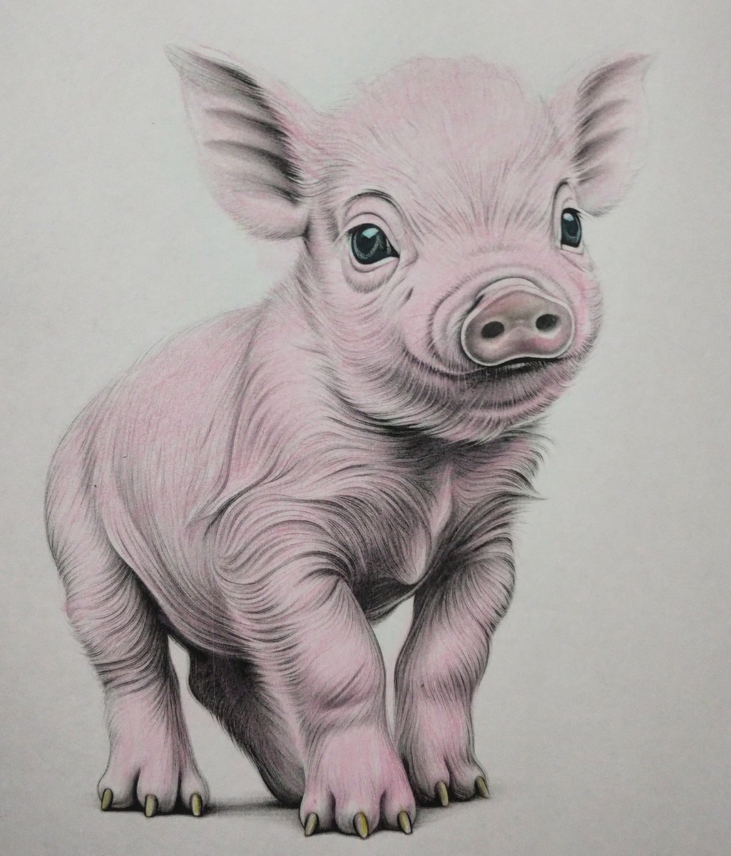 Hubbybubble's tweet image. Keeping the mind busy #babyanimals #colou