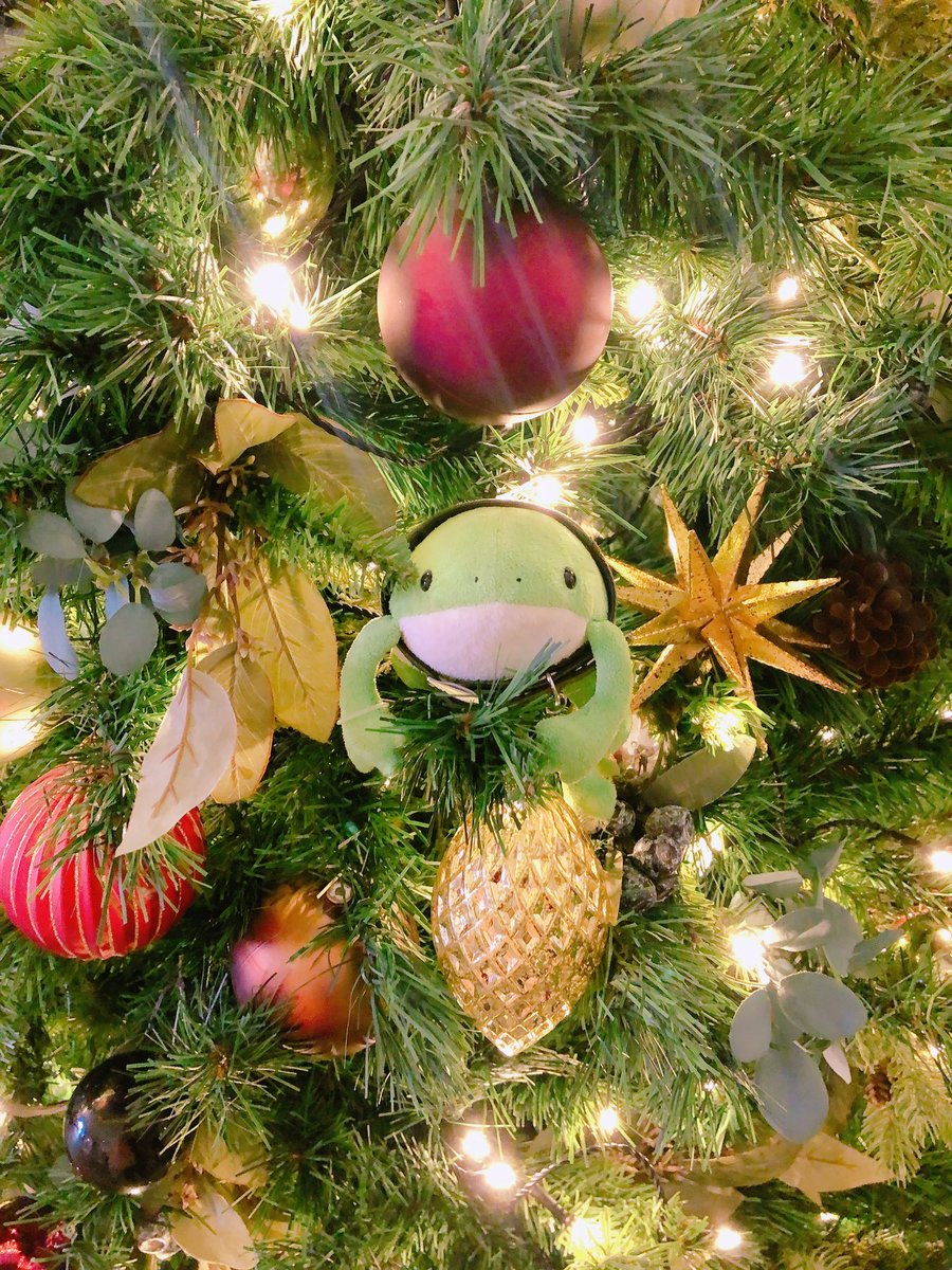 「12月は某所のクリスマスツリーに寄生する尊氏ですよいかお#ムニュマムカエルカレン」|ロックのイラスト