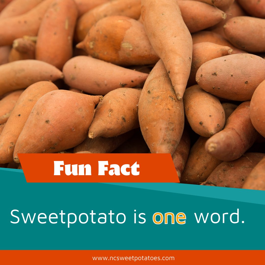 Sweetpotato is one word! 😎 The one-word spelling was officially adopted by the National Sweetpotato Collaborators in 1989.

Sign our petition today!
change.org/p/help-us-corr…

#ncsweetpotatoes #sweetpotatoes #oneword #spelling

@merriamwebster @dictionarycom @apstylebook