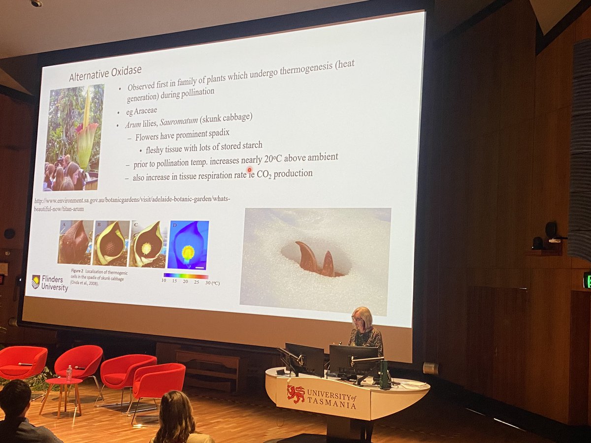 croprootbiology's tweet photo. @SooleKath delivering the Robertson
Lecture at #ASPS2023. Wonderful showcase of your research achievements on the nexus between respiration and stress biology. Congratulations Kathy 👏 , so well deserved. https://t.co/5Am7xuYrYU