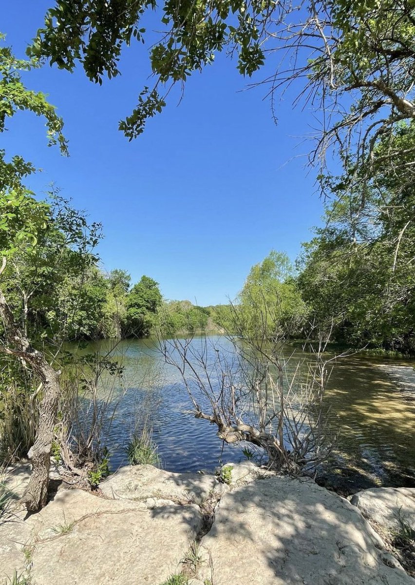 Pearl_Lantana's tweet image. Appreciate all the beautiful green spaces at Barton Creek Wilderness Park, just a quick drive from Pearl Lantana! ☀️

📸: @nosy_the_riveter on Instagram📍 Barton Creek Wilderness Park
#Austin #ThingsToDoInAustin #AustinPark #AustinTX #BartonCreekWildernessPark