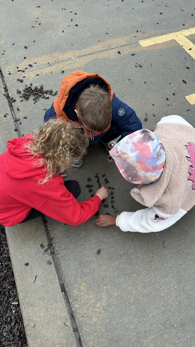 Madison Jackson tweet media