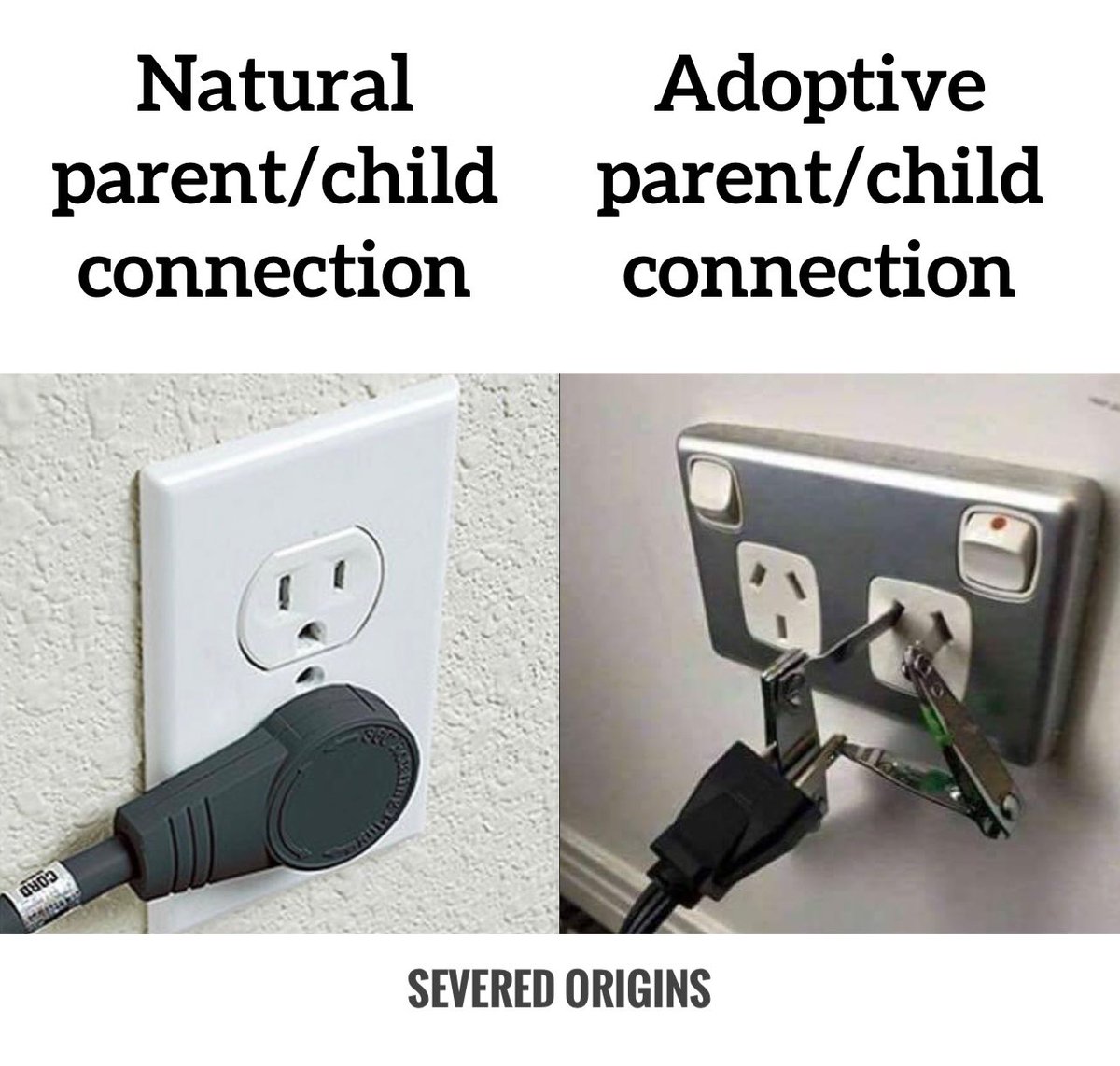 Severed Origins (@severedorigins) on Twitter photo 