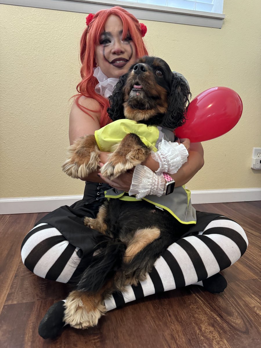 SmallkineC's tweet photo. Late post, but this was our Halloween. Me &amp; Milo
#halloween2023 #pennywise #georgie #milothecavie #hawaiilife https://t.co/Hcztqpkm6F