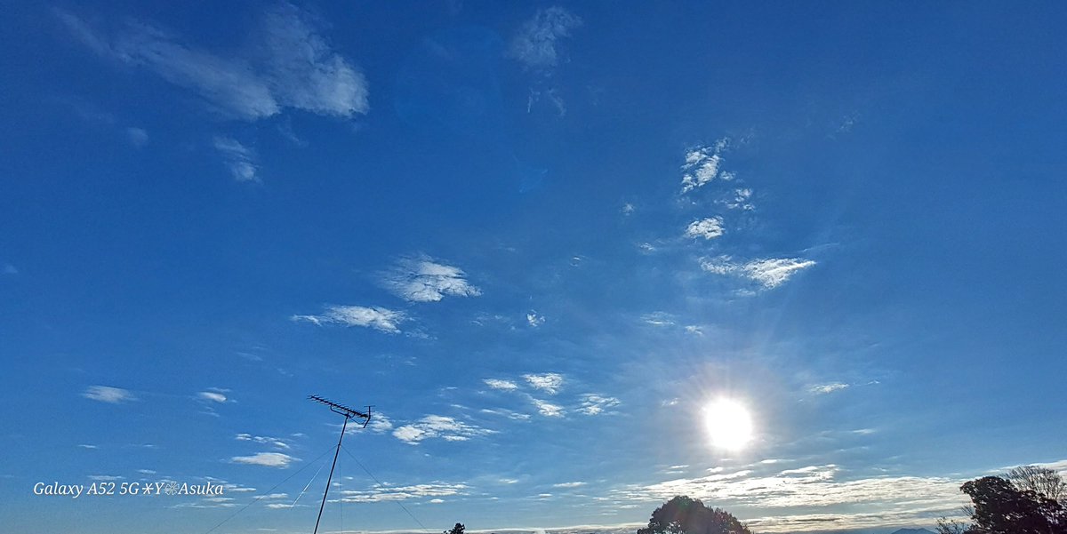 yumeasutw's tweet photo. #青空 にお日様燦々✨今季一番の冷え込んだ金曜日の朝☀️
西の空には白い🌖 #居待月 (月齢17.6)
予想最高/最低気温🌡️11℃/-1℃
晴れのち曇り☀️→☁️
午後は雲が多くなり俄か雨に御用心🌂
#月 #moon
#朝空
#空の名前
#天気の図鑑
#気象のはなし
#a2023 #a1201 #a202312
#12月も宜しくお願いします https://t.co/gwpCzo9UFi
