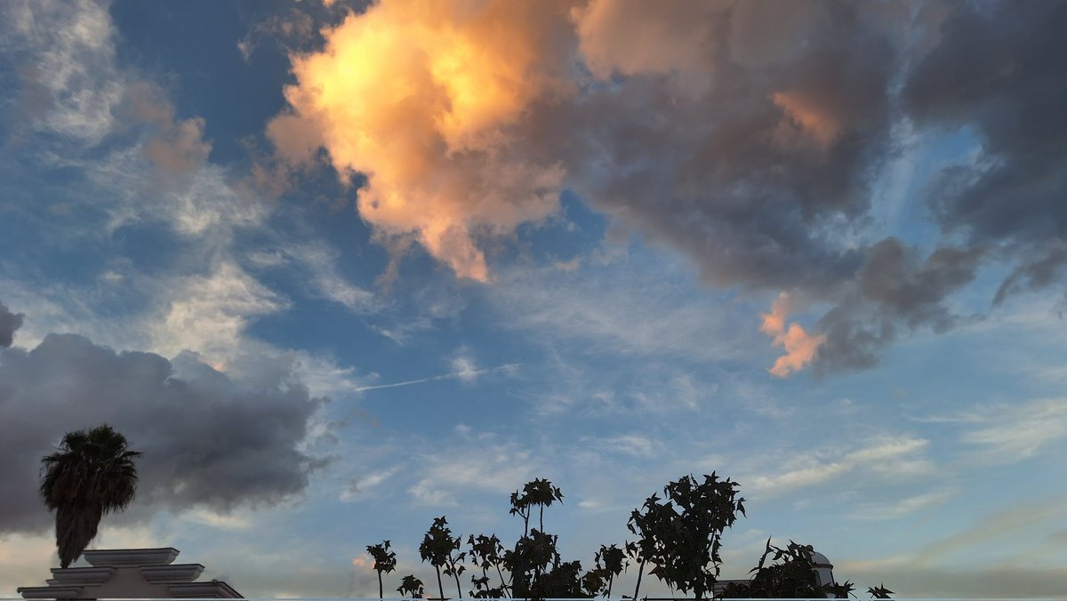 PsicoterapiaMSC's tweet photo. Días gélidos, frios, gélidos.. hermosos de principio a fin
#lavidamia
Empieza el atardecer...
El balcón al cielo https://t.co/V3oRbCKUll
