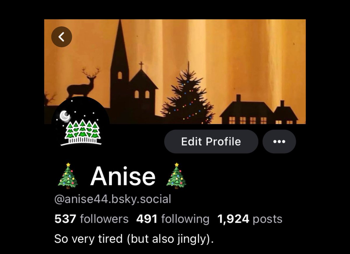 🌻 anise 🌻 tweet media
