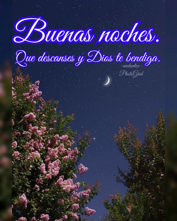 Consuel64734293's tweet photo. Linda noche para todos https://t.co/Cpqi6mIPrI