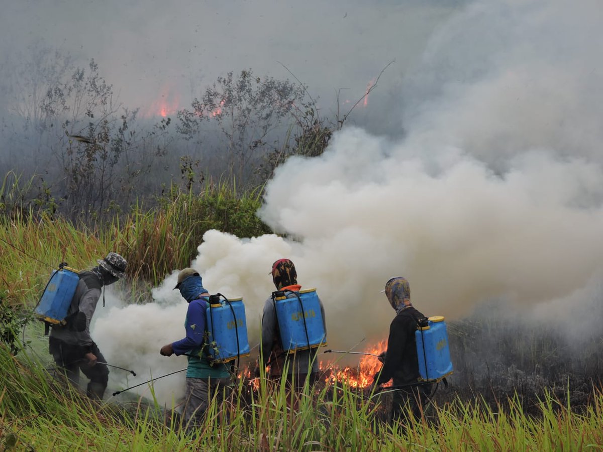 The Thin Green Line Foundation tweet media