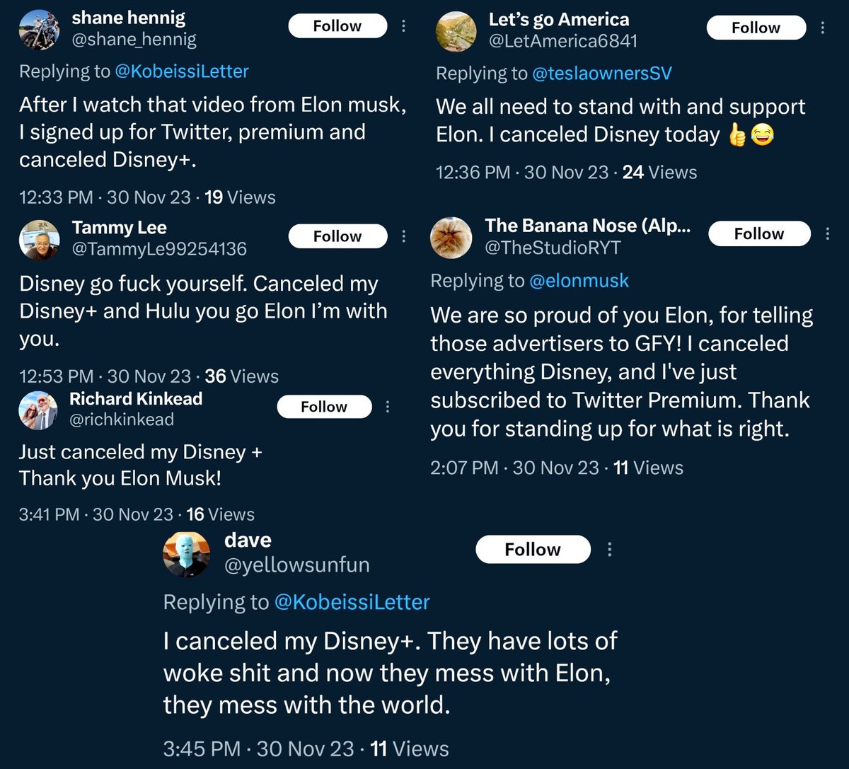 RippaGoalposts's tweet photo. People are cancelling Disney+ in support of Elon Musk https://t.co/ahMsBcpHQ9