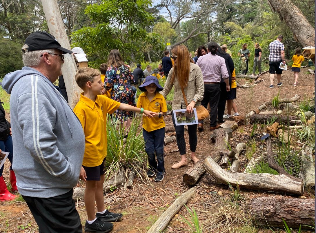 luke_carr7's tweet photo. Grand Opening: Gungunbirang (Where frogs belong). An amazing afternoon showing our parents what we have achieved this year creating our Habitat Haven #mathsinquiry. I was dressed by FrogID ๐ธ thanks Jodi @jodirowley @CostasGarden @bmgazette @LandcareAust @Fiona_Foley @kjinquiry https://t.co/b2c1M802eK