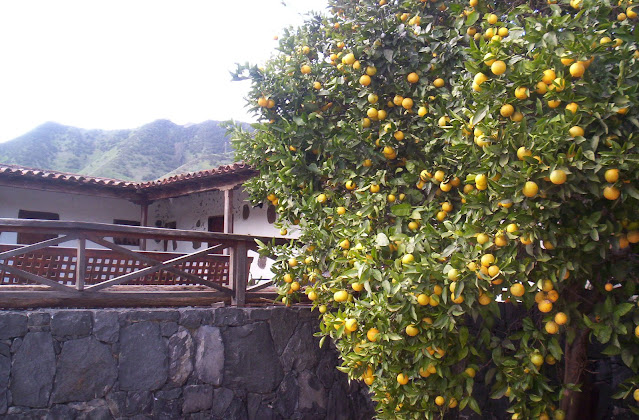 Secret Tenerife tweet media