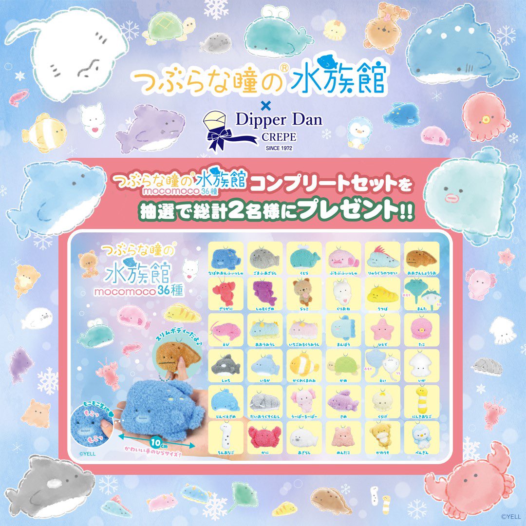 本日12/1(金)より
＃つぶらな瞳の水族館 × ＃ディッパーダン
SNSで総計2名様に当たる🐬
クリスマスプレゼントキャンペーン開催中～🎄✨

1⃣<a href="/DipperDan_CREPE/">ディッパーダン公式</a>をフォロー
2⃣このポストをリポスト⏎
で応募完了!

⚠️応募締切⚠️
2023年12月24日(日)23:59まで

▼詳しくはこちら▼
dipperdan.jp/10448/