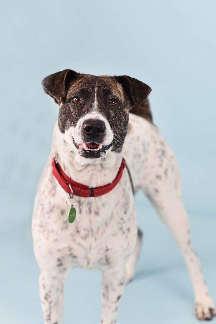 Berkeley Humane tweet media