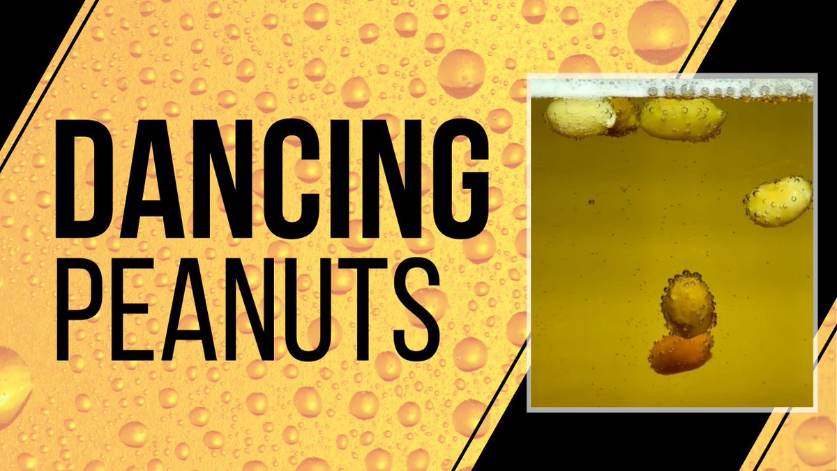Dancing Beer Nuts youtube.com/watch?v=cmbQpi…
#Beer #Crazy4Beer #nuts #peanuts #BeerNuts