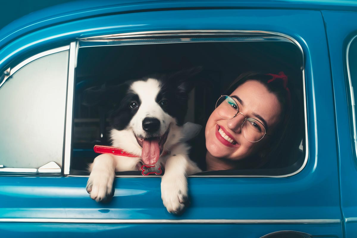 GoLambertTeam1's tweet image. How to Move with Your Pet
If you have a beloved pet, the ASPCA suggests that you make sure your pet loves it before you choose a new home! golambertteam.com/how-to-move-wi…

#MovingWithPets #PetFriendlyMoves #PetMovingTips #MovingTips #LambertMovingSystems #ProfessionalMovers