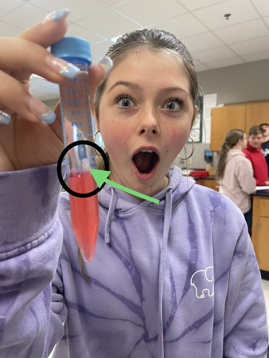MrBrownBio's tweet photo. Fun day in biology at @EastCentralHS   DNA extraction from their own cheek cells! 😮 👀 🧬 https://t.co/rSFYukINS9