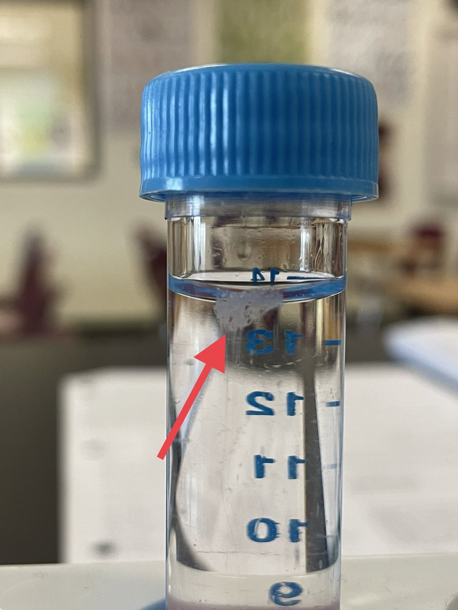 MrBrownBio's tweet photo. Fun day in biology at @EastCentralHS   DNA extraction from their own cheek cells! 😮 👀 🧬 https://t.co/rSFYukINS9