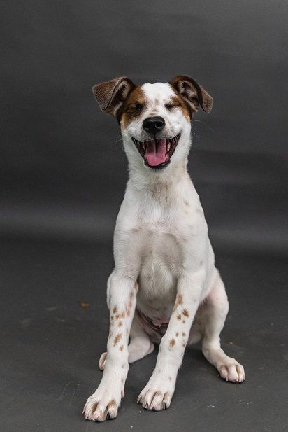 Berkeley Humane tweet media